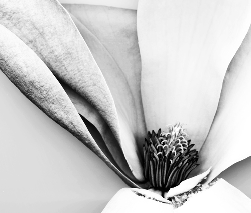 yellow print150bw yellow print150bw